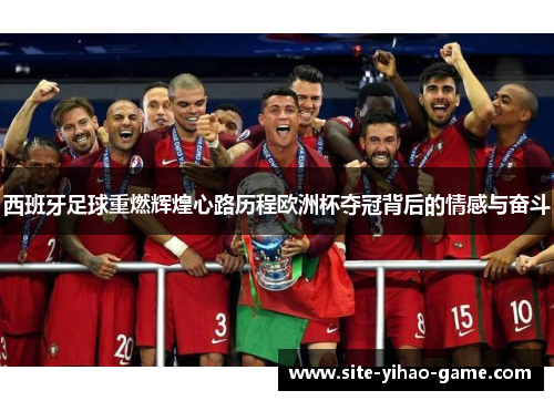 西班牙足球重燃辉煌心路历程欧洲杯夺冠背后的情感与奋斗