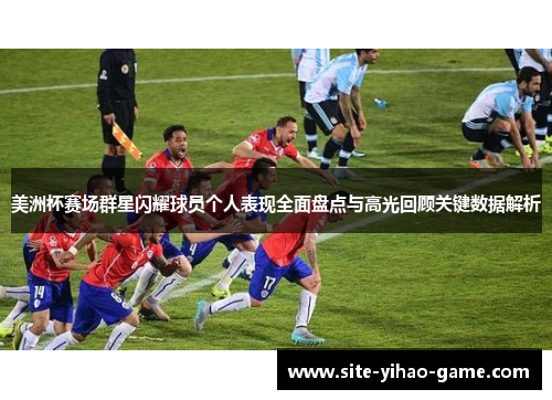 美洲杯赛场群星闪耀球员个人表现全面盘点与高光回顾关键数据解析